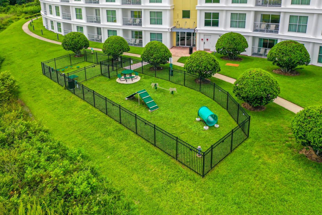 Pet Friendly In Orlando Area Near Disney Celebration Exteriér fotografie
